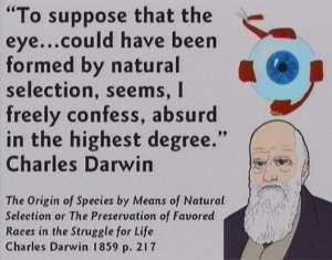 Ook Charles Darwin wist dat hij een leugenaar was.