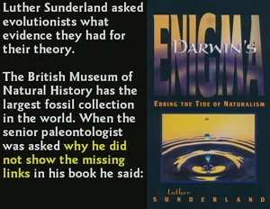 De vraag van Luther Sunderland betreffende de afwezige fossielen.